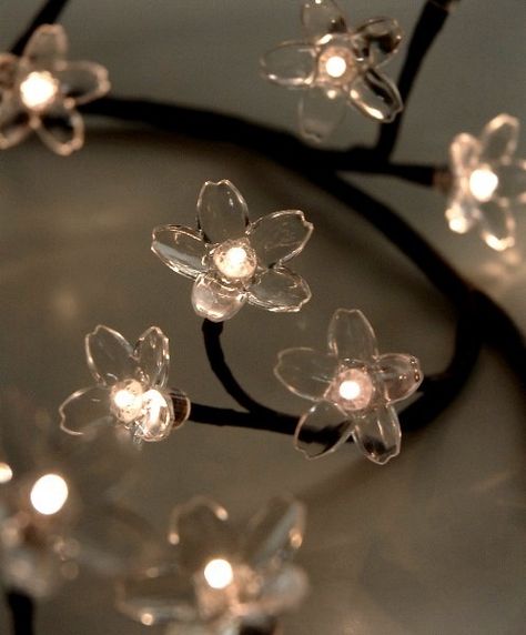 sweet Lighted Branches, Wedding Lighting, Venetian Plaster, Lighting Decor, June Wedding, Pretty Decor, Flower Lights, Flower Branch, Pretty Lights