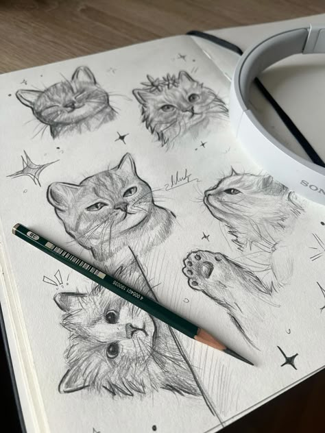 Sketch Cat Drawing, Cat Art Sketch, Cute Cat Sketch, Cat Drawing Sketches, Pencil Sculpture, Colorful Cat Art, Studies Drawing, Sketches Cute, Sketch Cat