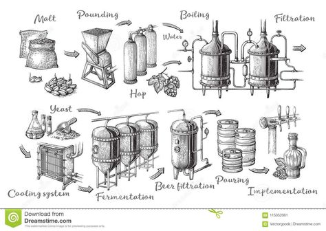 Vector Beer Infographics With Illustrations Of Brewery Process. Stock Vector - Illustration of black, background: 115352061 Brewery Process Illustration, Beer Infographic, Beer Brewing Process, Beer Drawing, Coffee Process, Beer History, Beer Illustration, Beer Brewing Equipment, Hazy Ipa