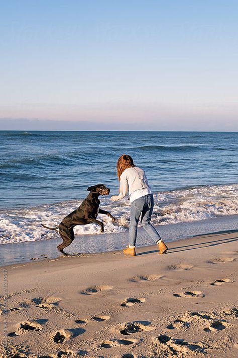 Person Playing With Dog Reference, 3d Beach Art, Playing With Puppies, Playing With Dog, Woman With Dog, Dogs Playing, Beach Dog, Dog Playing, Photos With Dog