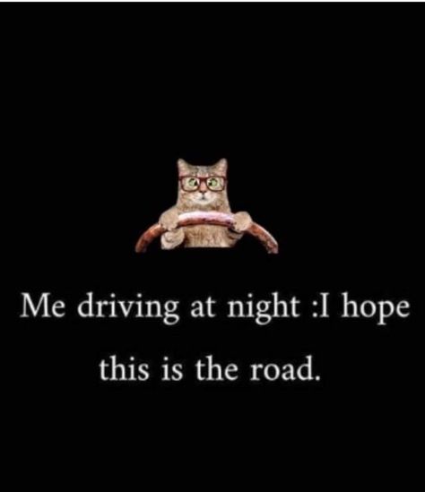 Laughter Quotes Life, Me Driving, Cat Humour, Driving At Night, Laughter Quotes, Short Jokes Funny, Happy Hippie, Sarcasm Humor, Night Driving