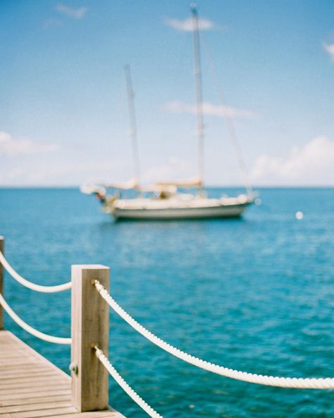 Sail across the shore. Enjoy the cerulean skies and blissful ocean views. Book a sea activity ahead of your holiday, just tap on our Link in Bio to get started. 📷: @AlexandraGracePhoto Sea Activities, Ocean Views, A Sea, Ocean View, Story Ideas, Sailing, Get Started, Tap, Quick Saves