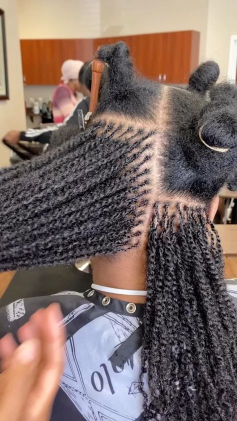 Rootlocks _New babies Microlocstwist/ROOTLOCKS 💜💜💜 . . . . #rootlocksconsultant # locstylesforwomen #locjourney #loctician… | Rootlocks (@rootlocks) on Instagram Braids Hairstyles Ideas, Micro Braids Styles, Short Hair Twist Styles, Micro Braids Hairstyles, Twisted Hair, Braids Styles, Beautiful Hairstyle, African Hair Braiding Styles, Box Braids Hairstyles For Black Women