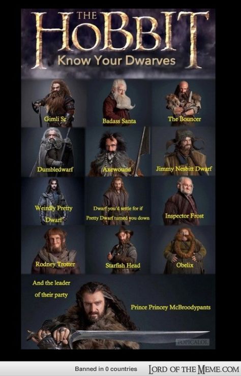 The Hobbit: Know Your Dwarves - - Lord of the RIngs Memes and Funny Pics - Lord of the Meme Hobbit Dwarves, Lord Of Rings, Lotr Funny, Fili And Kili, Into The West, Gender Envy, Jrr Tolkien, Legolas, Gandalf