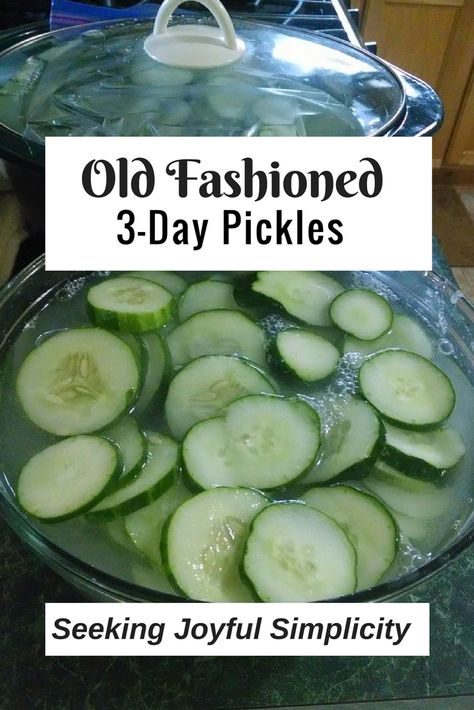 New Pickles Recipe, Crispy Pickles, Pickling Lime, Sweet Pickles Recipe, Make Pickles, Pickle Recipes Homemade, Dill Pickle Recipe, Pickle Recipes, How To Make Pickles