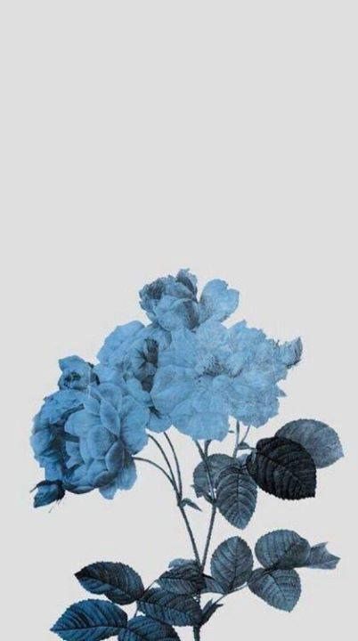 ✰ ˗ˏˋpinterest: @mdank611 ˎˊ˗✰ Blue Sargent, Blue Floral Wallpaper, Ravenclaw Aesthetic, Dark Blue Flowers, Blue Flower Wallpaper, Wallpaper Estetika, Everything Is Blue, Baby Blue Aesthetic, Light Blue Aesthetic