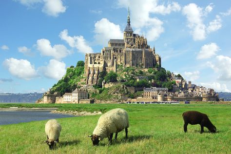 The island of Mont Saint-Michel Around The World Cruise, Day Trip From Paris, World Cruise, Best Vacation Destinations, Northern France, European Castles, Medieval Castle, Vacation Hotel, Best Places To Travel