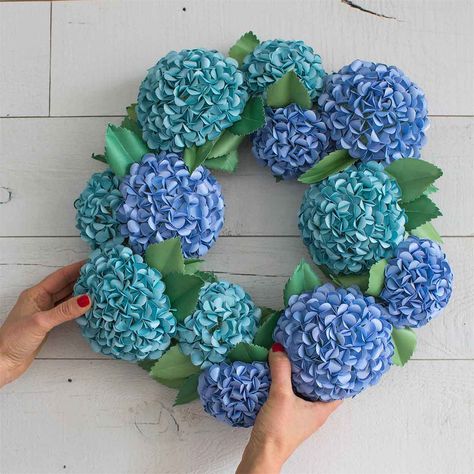 Hydrangea flower bed