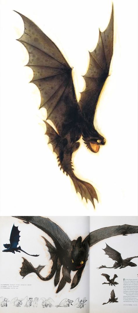 How To Train Your Dragon concept art by Simon Otto Httyd Concept Art, Concept Art Landscape, Httyd Art, Httyd Dragons, Dragon Trainer, Art Disney, Train Your Dragon, Toothless, How To Train