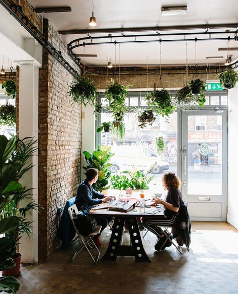 ⁠This year, build life into your office and inspire your team with lush greenery🌿⁠ ⁠ Plants make workspaces happier and healthier. We offer a wide range of options from simple potted plants to integrated planters and bespoke biophilic design. Creating a personalised plant scheme, we’ll work closely with you to determine the best solutions for your needs.⁠ ⁠ We've transformed so many stunning spaces, including sites at Uncommon, Broadgate and EBRD. Green design is our true passion, and we love... Indoor Landscaping, Plant Workshop, Diy Shelving, Shelving Display, Plant Installation, Plant Maintenance, Biophilic Design, Indoor Plant Care, Low Light Plants