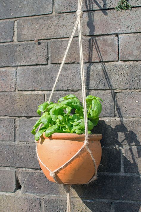 Easy Plant Hanger Diy, Diy Plant Hanger Easy, Jute Plant Hanger, Diy Macrame Plant Hanger Easy, Hanging Baskets Diy, Plant Hanger Tutorial, Outdoor Plant Hanger, Flower Pot Hanger, Baskets Diy