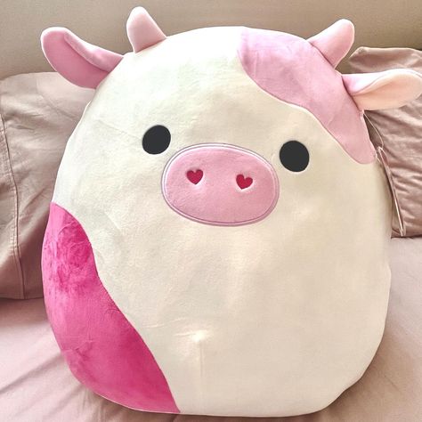 Teresa 🍓 on Instagram: “I actually managed to get a diso for retail! 😭😭 There’s actually a cute story to go along with it! Bless that Kohl employee’s heart ❤️…” Cow Squishmallow, Pillow Pals, Blue Cow, Pink Puppy, Pink Cow, Baby Cows, Cute Stuffed Animals, Cute Toys