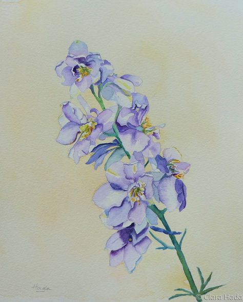 Painting : "Prairie Larkspur" (Original art by Clara Hada) Larkspur Painting Acrylic, Larkspur Flower Painting, Larkspur Painting, Larkspur Watercolor, Xmas Flowers, Larkspur Flower, Flower Step By Step, Swipe File, Paint Night