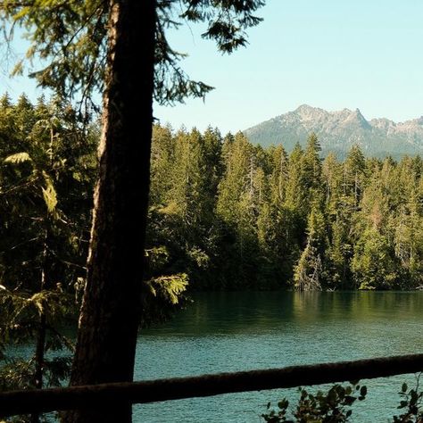 Lake Cushman, Washington // vanlife archives Life Vision Board, Film Photographer, Film Photographers, Remember This, Van Life, Life Is Good, Washington, Lake, Natural Landmarks