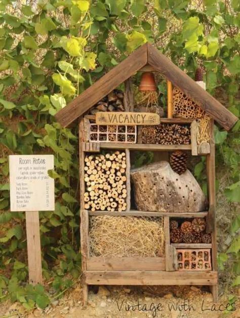 Our Bug Hotel is open, come on in | by Craig Freeman | Invironment | Medium Quirky Garden Ideas, Quirky Garden, Bee Hotel, Bug Hotel, Insect Hotel, Ladybug Crafts, Garden Bugs, Upcycle Garden, Sensory Garden