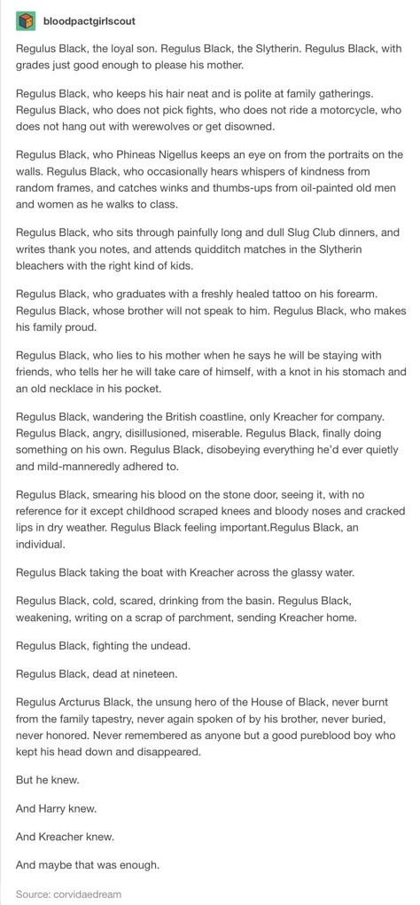 Regulus Black // NO THAT WAS DEFINITELY NOT ENOUGH MY HEART HURTS EVERYONE IN THE WIZARDING WOLRD HAS TO KNOW THAT REGULUS BLACK WAS A HERO Timothy Chalamet Regulus Black, Regulus Quidditch, Regulus Black Makeup, Things That Scream Regulus Black, Regulus Black Cat, Regulus Black Variants, Regulus Black Inspired Nails, Regulus Black Handwriting, Regulus Black Playlist