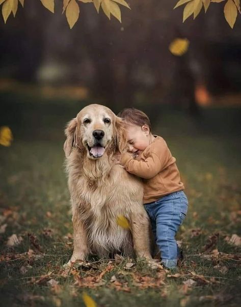 Dog Photography Poses, Cute Fluffy Puppies, Sibling Photography, Clydesdale Horses, Animals Care, Dog Poses, Budweiser Beer, The Friendship, Clydesdale