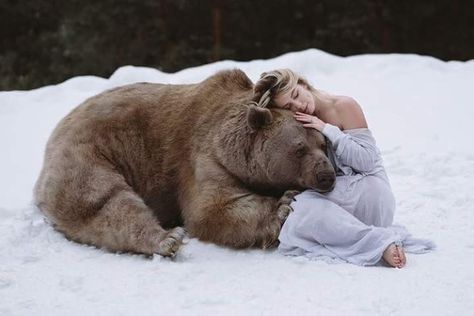 Bear luv 💗 Extreme Photography, Nature People, People Pictures, Fairytale Photography, Fantasy Photography, Love Bear, Wild Nature, Animal Photo, Brown Bear