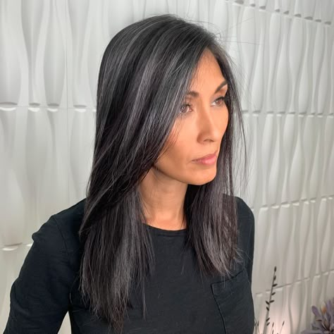 Balayage For Black Hair Asian Straight, Black To Grey Hair Transformation, Asian Medium Length Hair With Layers Straight, Grey Extensions On Black Hair, Ir Clinical System Monat, Dark Grey Hair, Black And Grey Hair, Gray Blending, Gray Hairstyles