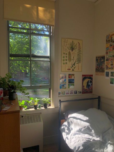 Hofstra University Dorms, Boarding School Bedroom Aesthetic, Stanford Dorm Room, Harvard Dorm Room Aesthetic, New York Dorm Aesthetic, Nyc Dorm Aesthetic, Boarding School Dorm Aesthetic, Harvard Vision Board, Cute Simple Bedroom