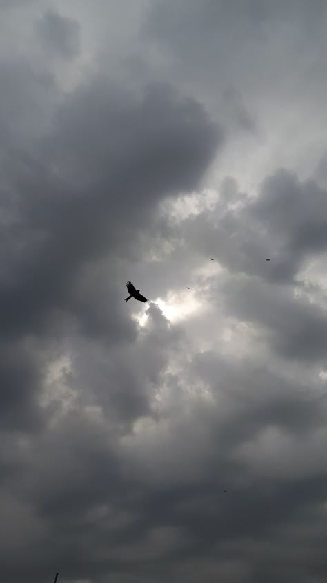 Early Morning Snaps, Black Clouds Aesthetic, Morning Clouds Sky, Eagle In The Sky, Cloudy Sky Aesthetic, Early Morning Sky, Morning Clouds, Oneplus Wallpapers, Morning Rain