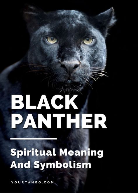 Black Panther Tattoo Meaning, Black Panther Spirit Animal Meaning, Black Panther Symbolism, Panther Spirit Animal Meaning, Black Panther Spiritual Meaning, Black Panther Animal Aesthetic, Black Panther Animal Tattoo, Black Panther Spirit Animal, Panther Symbolism