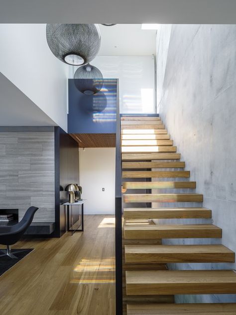 MDS,© Justin Alexander Balmoral House, Timber Stair, Oak Floorboards, Timber Staircase, Stair Wall, Justin Alexander, Modern Staircase, Level Homes, Timber Flooring