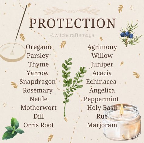 Plant Magick, Protection Herbs, Herbs For Protection, Candle Magic Spells, Goddess Magick, Witchcraft Herbs, Magickal Herbs, Witch Herbs, Green Witchcraft