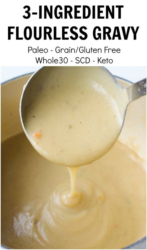 Flourless Gravy Recipe, Healthy Gravy Recipe, Healthy Gravy, Cheese Sauces, Gluten Free Gravy, Vegan Gravy, Scd Recipes, Keto Sauces, Specific Carbohydrate Diet