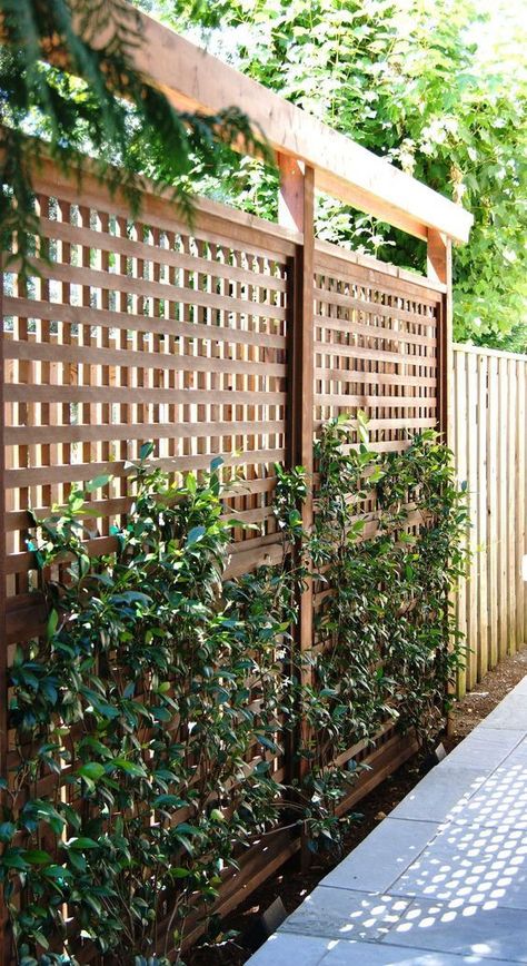 The Secrets Of A Picturesque Trellis Landscape Revealed - 170 Yard Privacy, Taman Diy, Privacy Ideas, Patio Privacy, Privacy Fence Designs, Privacy Landscaping, Garden Privacy, Backyard Privacy, Pergola Design