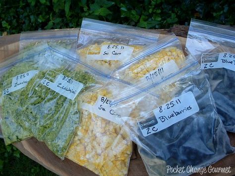 Freezing your own fresh veggies such as zucchini, corn and green beans. Stock The Freezer, Freezing Zucchini, Freezing Vegetables, Freezing Fruit, Slow Cooker Freezer Meals, Nutritious Food, Frozen Veggies, Food Info, Freezer Cooking