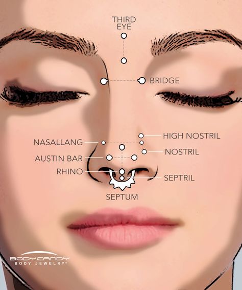 Piercings Corps, Piercing Facial, Double Nose Piercing, Ear Piercings Chart, Piercing Chart, Double Ear Piercings, Nose Piercing Stud, Septum Piercings, Face Piercings