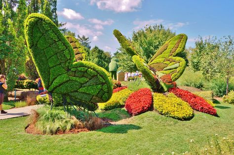 Alternanthera (Butterflies) | Karl Gercens | Flickr Butterfly Park, Park Signage, Landscaped Garden, Unique Garden Art, Urban Landscape Design, Garden Park, Flower Landscape, Unique Gardens, Outdoor Inspirations