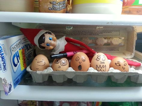 Elf on the self in the fridge. Draw faces on eggs with black maker. Elf On The Shelves, Elf Ideas Easy, Elf Magic, Awesome Elf On The Shelf Ideas, Elf Activities, Xmas Elf, Elf Antics, Elf Fun, Elf Ideas