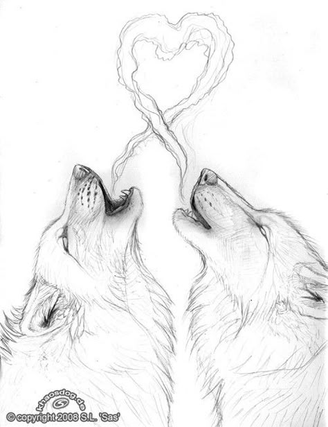 Lup Singuratic, Wolf Sketch, Wolf Drawings, Couple Drawing, Drawing Eyes, Wolf Love, Wolf Drawing, Wolf Pictures, Wolf Tattoos