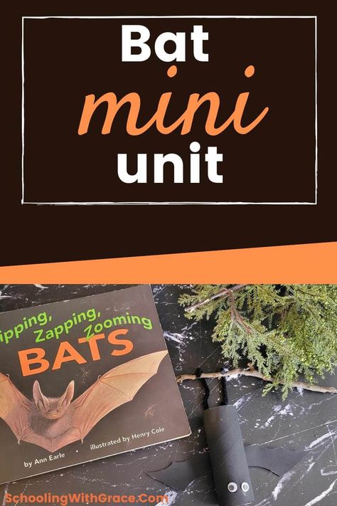 Bats For Kindergarten, Bats Preschool Activities, Bat Science Experiments, Bat Unit Study Free, Bat Activities For Kids, Bats Lesson Plans, Bats Unit Study, Bat Inquiry Kindergarten, Bat Habitat