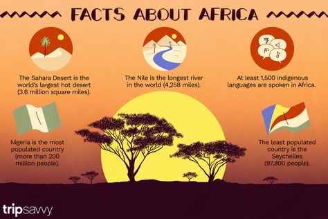 Facts About Africa, Africa Facts, Deadly Animals, Deserts Of The World, Hot Desert, Intresting Facts, Sahara Desert, Interesting Facts, Plant Life