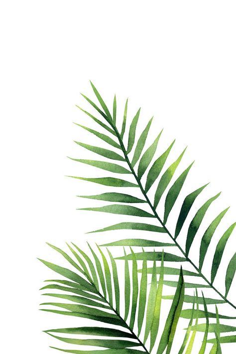 Art Zine, Fabric Painting Techniques, Palm Trees Painting, Leaves Illustration, Leaf Illustration, Leaf Drawing, Tropical Art, Painted Leaves, Arte Floral