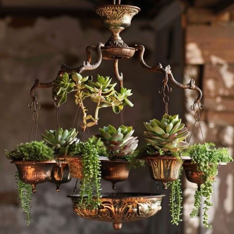 8 stunning succulent chandelier ideas for your home Chandelier Planter Diy, Succulent Chandelier, Chandelier Planter, Free Spirit Aesthetic, Chandelier Ideas, Small Led Lights, Planter Diy, Hanging Succulents, Old Lights