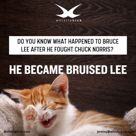 Your martial arts joke for today!😆 #humor #jokes #martialarts #chucknorris #bruiselee #mma #kungfu #wushu #combat #karate #selfdefense #bjj #taekwondo #dojo #dojang #whistlekick #vermont Karate Humor, Martial Arts Humor, Art Jokes, Chuck Norris, Aikido, Do You Know What, Cheer Up, Judo, Taekwondo