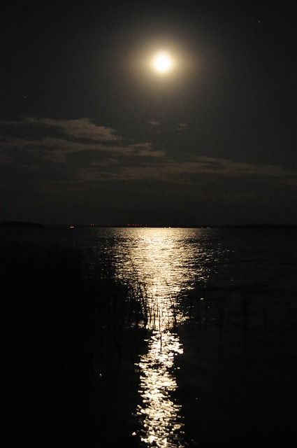 Moon Over Water, Iphone Wallpaper Landscape, Water Aesthetic, Look At The Moon, Night Scenery, Sun And Stars, Water Painting, Night Aesthetic, Magical Creatures