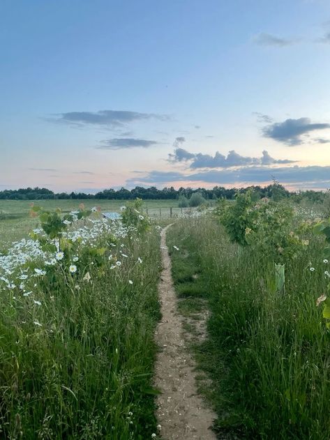 Sunny Spring Aesthetic, Quiet Summer Aesthetic, Countryside Girl Aesthetic, Summer Walks Aesthetic, Countryside Life Aesthetic, Country Side Scenery, Countryside Summer Aesthetic, Nature Widgets, Nature Walk Aesthetic