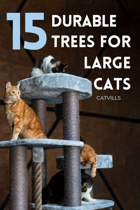 Cat Trees For Large Cats, Cat Trees Homemade, Small Cat Tree, Cat Tree Designs, Cat Scratching Tree, Large Cat Tree, Cool Cat Trees, Diy Cat Tree, Cat Towers