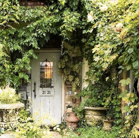 Botanical Academia, Cottage In The Woods, Dream Cottage, Cottage Core Aesthetic, Little Cottage, Jolie Photo, Cozy Cottage, Pretty House, Nature Aesthetic