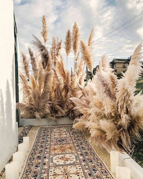 old but pampas gold. 📸✨ #pampaspeople Boho Elements, Grass Decor, Pampas Grass Decor, Have Inspiration, A Rug, Pampas Grass, Diy Wedding Decorations, Outdoor Area, Modern Rustic