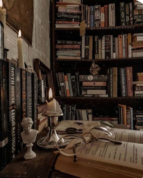 Library Goals, Paradis Sombre, Beige Mom, Dark Academia Room Ideas, Academia Library, Dark Academia Library, Dark Academia Bedroom, Dark Trees, Academia Bedroom