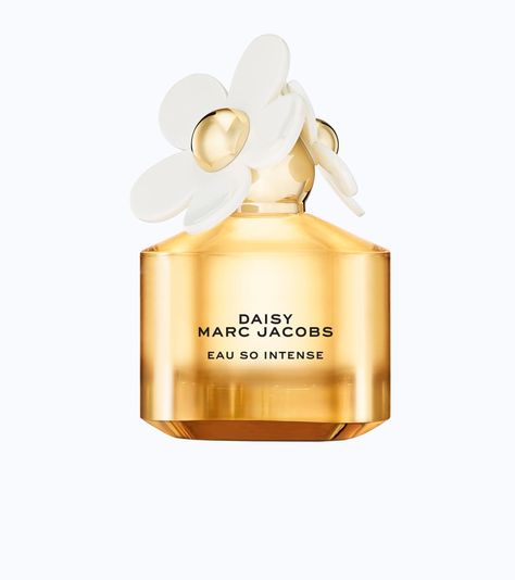 Daisy Eau So Intense Daisy Eau So Intense, Daisy Perfume, Strawberry Hearts, Marc Jacobs Daisy, Sofia Coppola, Contemporary Luxury, Luxury Collection, Fragrance Notes, Gray Background