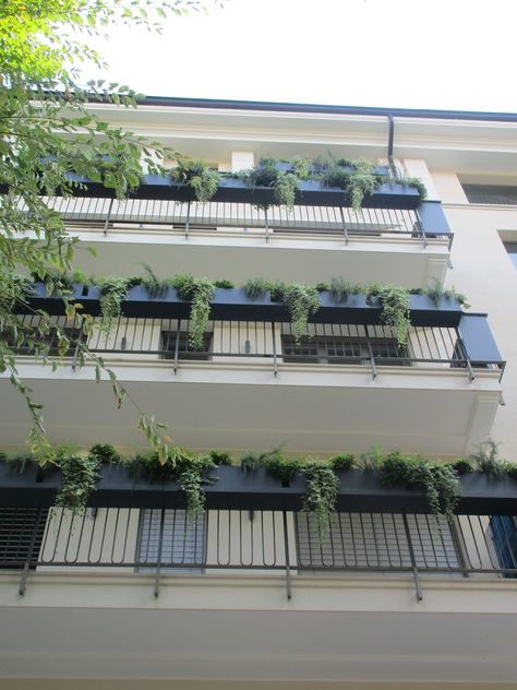 Balcony Hanging Plants, Balcony Planter Boxes, Balcony Planters, Fence Plants, Balcony Grill, Railing Planters, Balcony Plants, Balcony Railing, Planter Stand