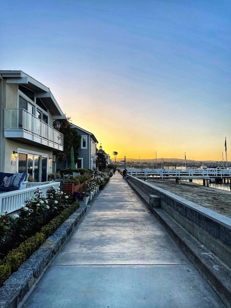 Balboa Island Newport Beach, Exercise Walking, Balboa Island, Morning Exercise, Walking Dog, Newport Beach California, California Living, Morning Workout, Beach California