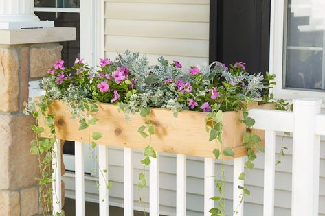 wood-porch-box-floral-plants-18f04106 Railing Planter Boxes, Cosy Garden, Deck Railing Planters, Window Boxes Diy, Custom Railing, Railing Planters, Crochet Mat, Diy Planter Box, Bird Box